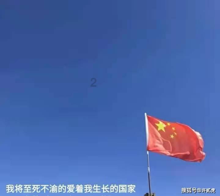 救援小犬立苏