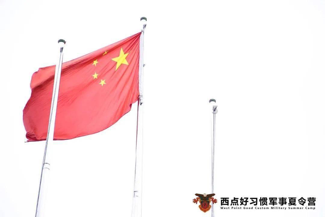 相互吞噬选关版