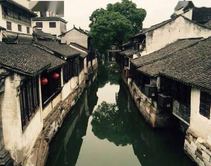 救援深海动物